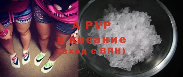 дживик Бородино