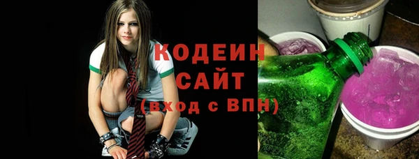 дживик Бородино