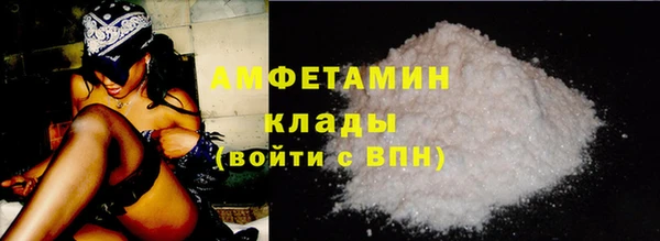 дживик Бородино