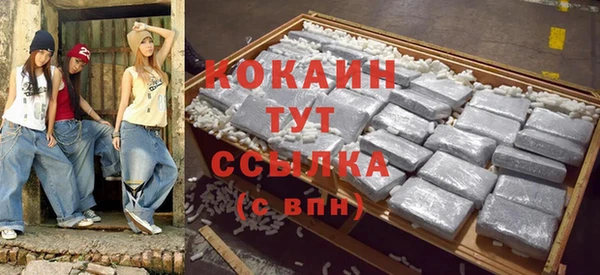 дживик Бородино