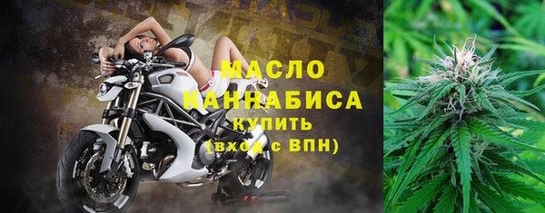 дживик Бородино