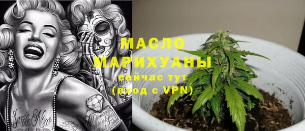 дживик Бородино