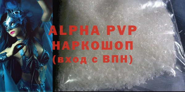дживик Бородино