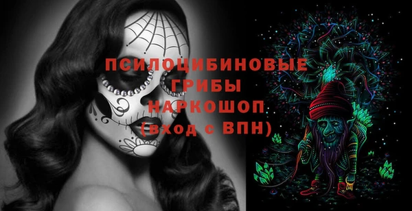 дживик Бородино