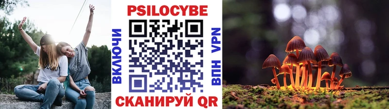 Галлюциногенные грибы MAGIC MUSHROOMS  Демидов 